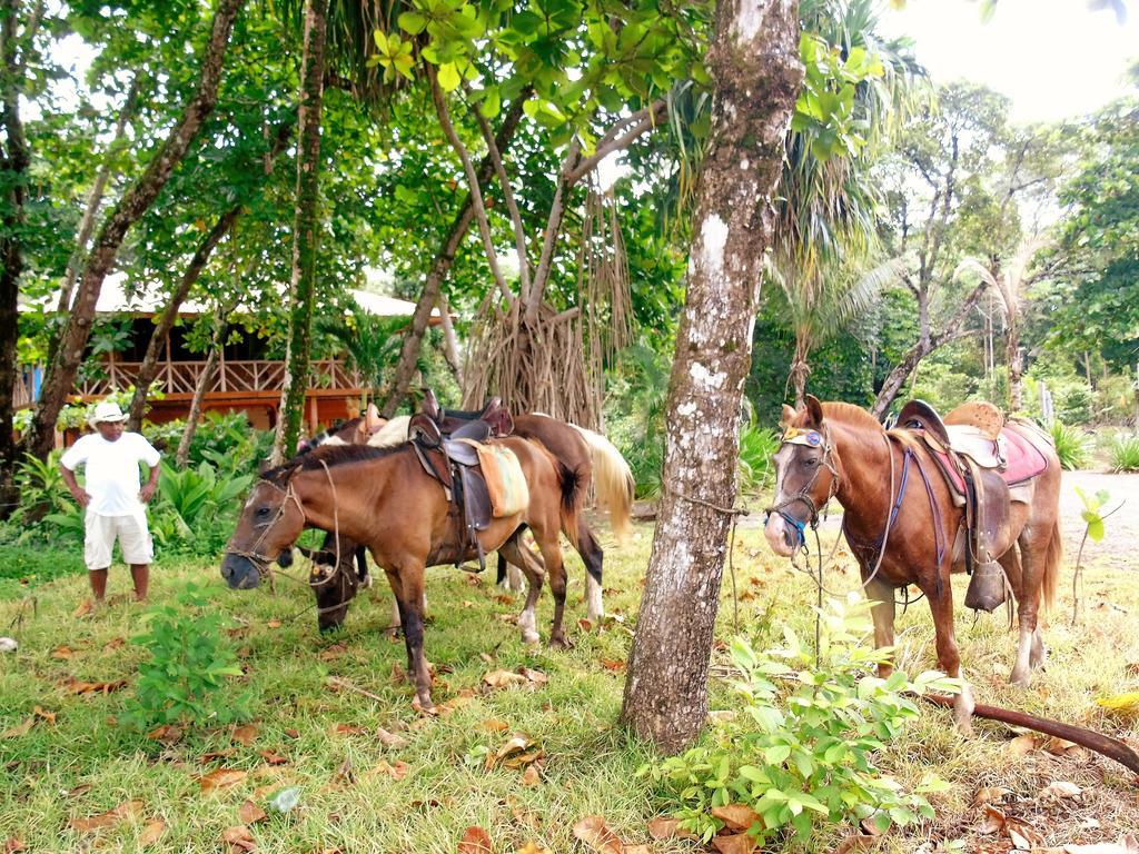 Punta Preciosa Bed & Breakfast Puerto Jiménez Екстериор снимка