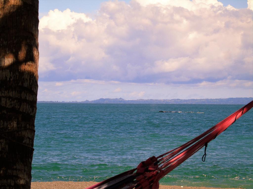 Punta Preciosa Bed & Breakfast Puerto Jiménez Екстериор снимка