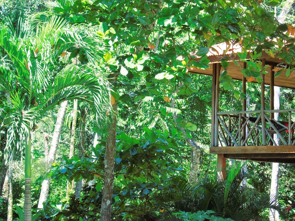 Punta Preciosa Bed & Breakfast Puerto Jiménez Екстериор снимка