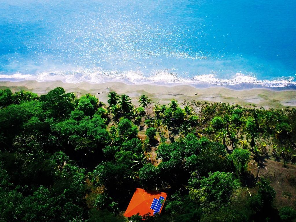 Punta Preciosa Bed & Breakfast Puerto Jiménez Екстериор снимка