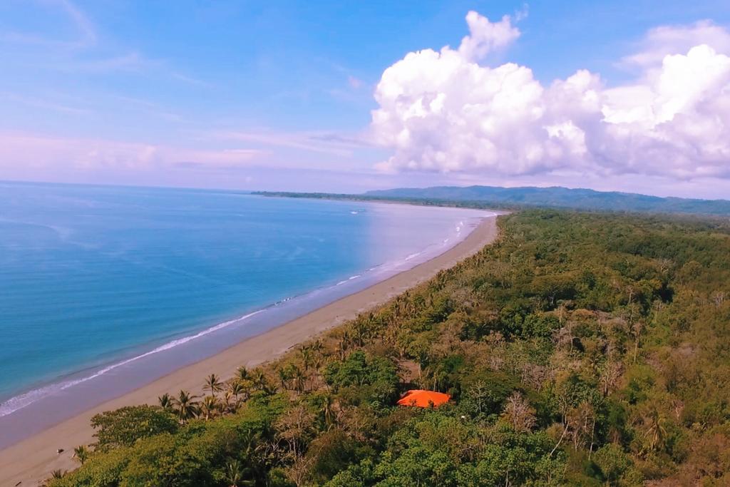 Punta Preciosa Bed & Breakfast Puerto Jiménez Екстериор снимка