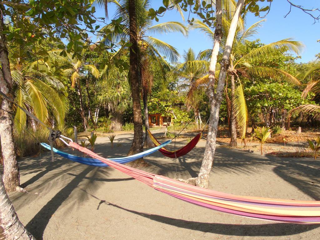 Punta Preciosa Bed & Breakfast Puerto Jiménez Екстериор снимка