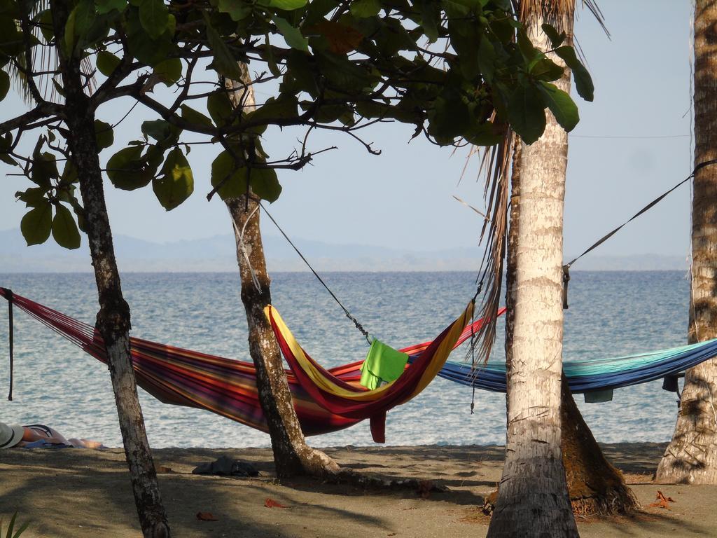 Punta Preciosa Bed & Breakfast Puerto Jiménez Екстериор снимка