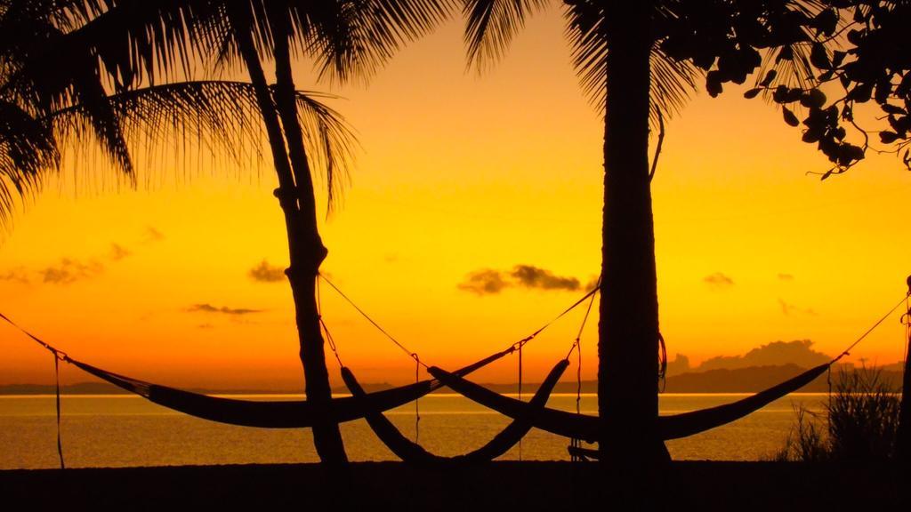 Punta Preciosa Bed & Breakfast Puerto Jiménez Екстериор снимка