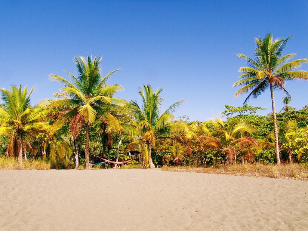 Punta Preciosa Bed & Breakfast Puerto Jiménez Екстериор снимка