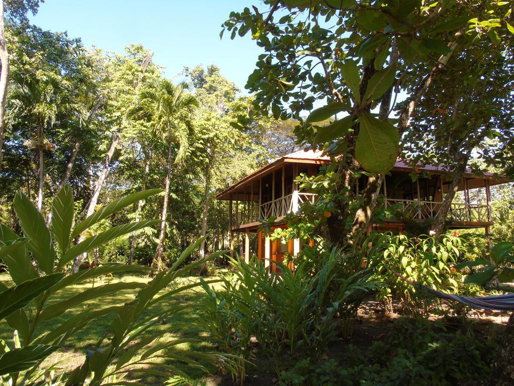 Punta Preciosa Bed & Breakfast Puerto Jiménez Екстериор снимка