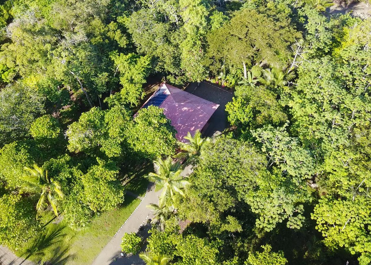 Punta Preciosa Bed & Breakfast Puerto Jiménez Екстериор снимка