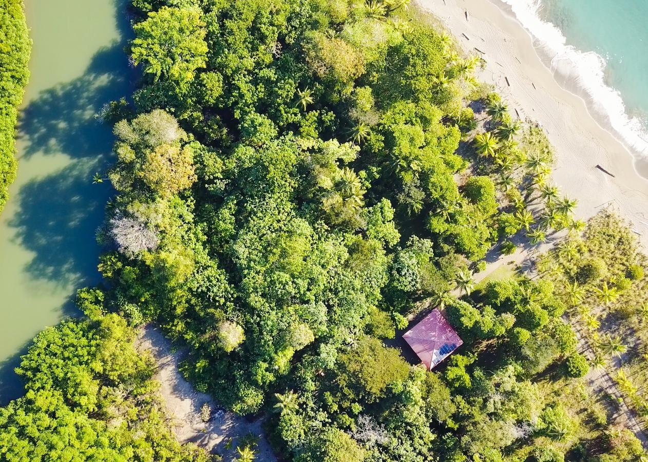 Punta Preciosa Bed & Breakfast Puerto Jiménez Екстериор снимка
