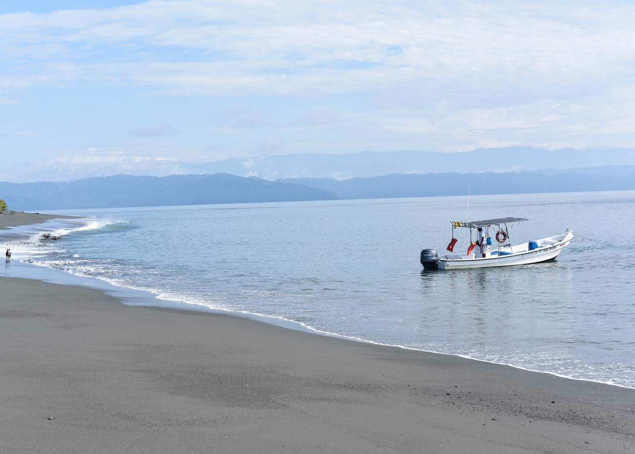 Punta Preciosa Bed & Breakfast Puerto Jiménez Екстериор снимка