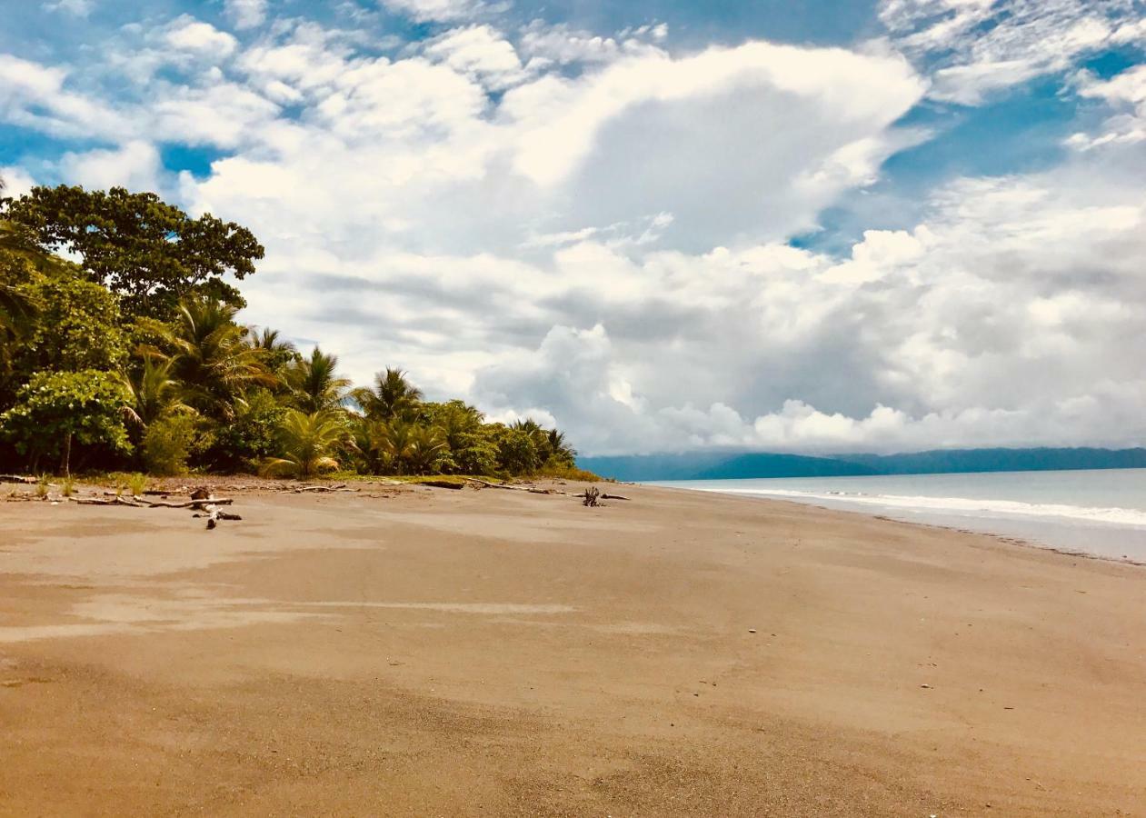 Punta Preciosa Bed & Breakfast Puerto Jiménez Екстериор снимка