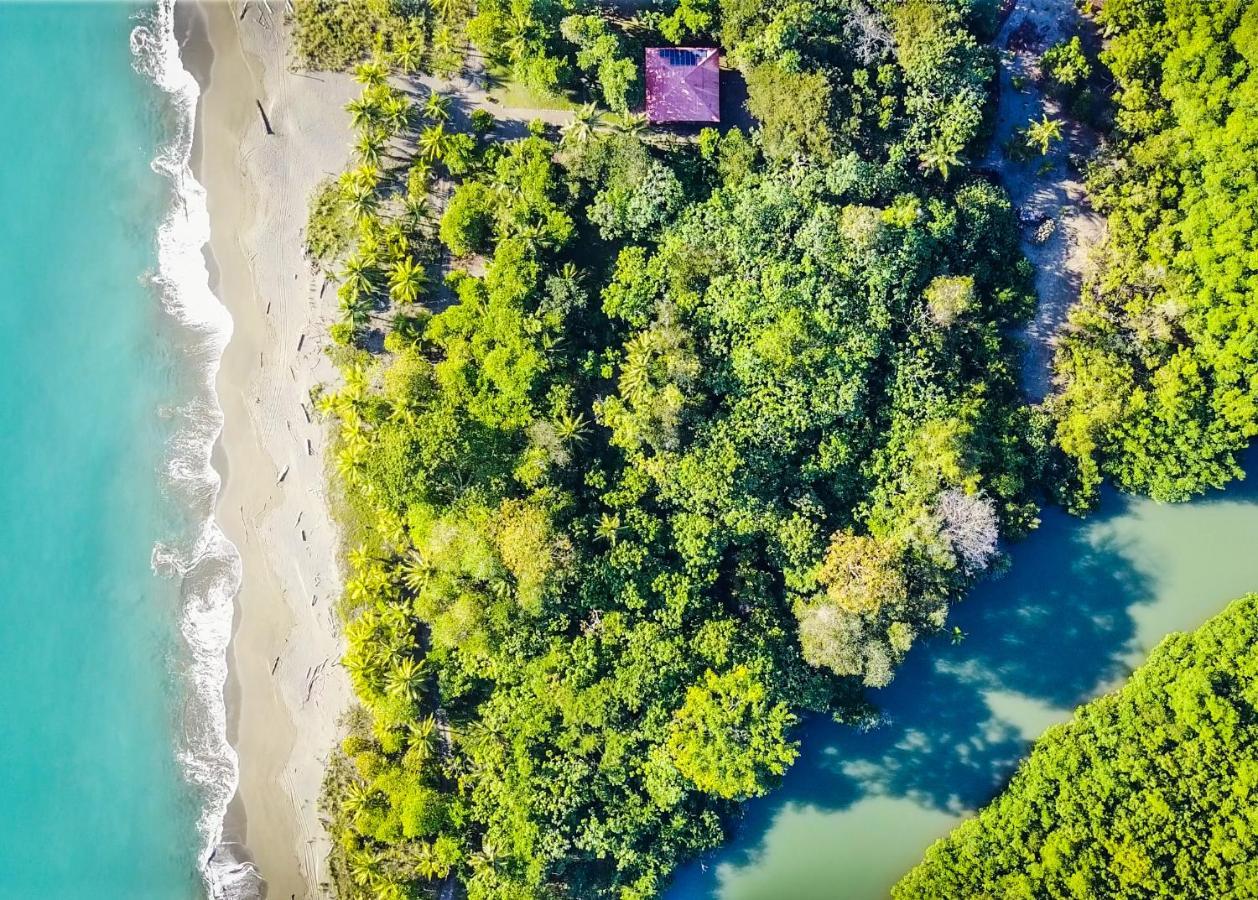 Punta Preciosa Bed & Breakfast Puerto Jiménez Екстериор снимка